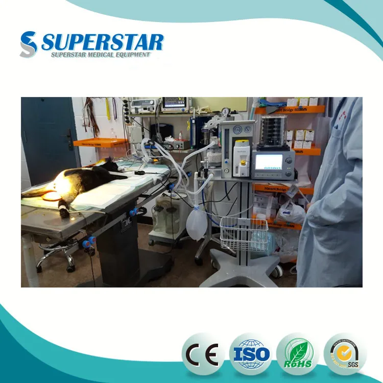veterinary anesthesia (2).jpg