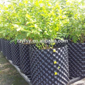 Nursery Pot Containers Suppliers And Nursery Pot Containers Suppliers