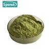 100% nature Plant Extract Vegetable Powder Spinach powder Spinacia oleracea powder
