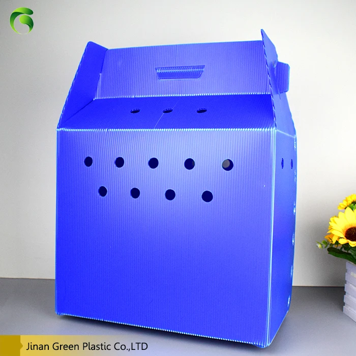 A Fullservice Manufacture Pp Corrugated Folding Crate Plastic Pet