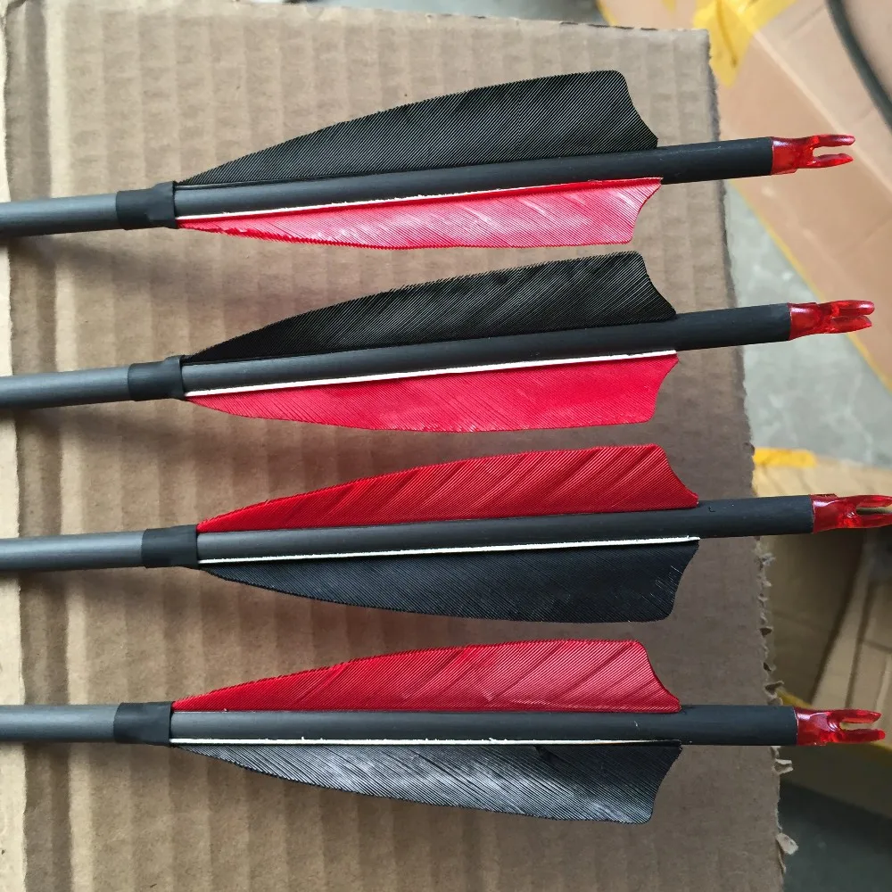 Jx030t 30" Pure Carbon Arrow With Natural Turkey Feather Buy Carbon