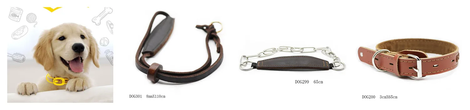 pet collars.jpg