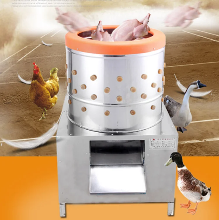 Ssdp50 Electric Chicken Plucker Machine With Ce Approved For Sale