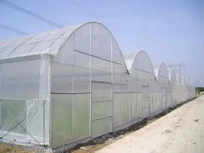 vegetables anti fly net greenhouse anti insect net for agriculture 20x10 Anti Aphid Net