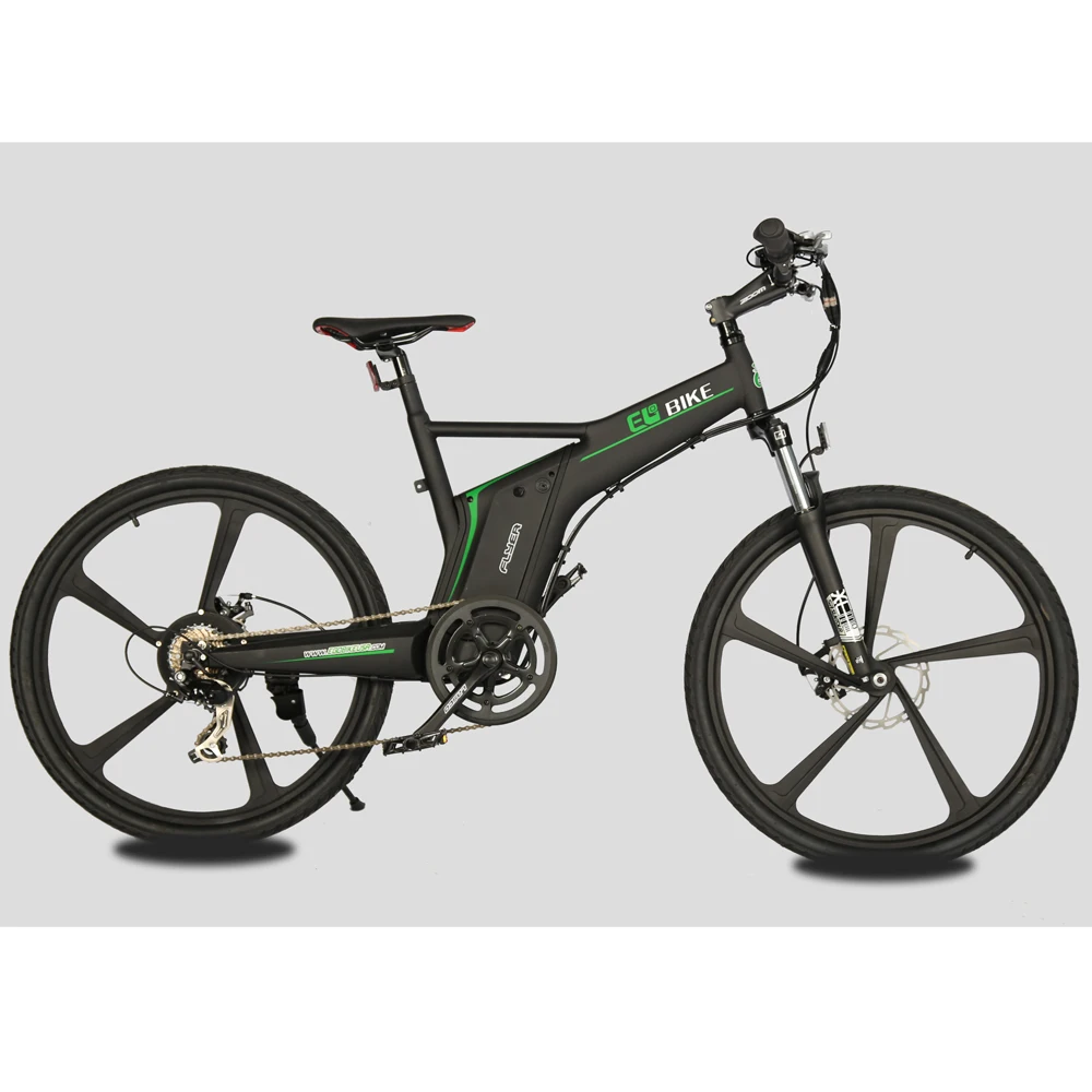 dual power electric bike