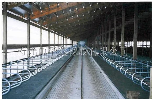 prefabricated steel structure cowshed