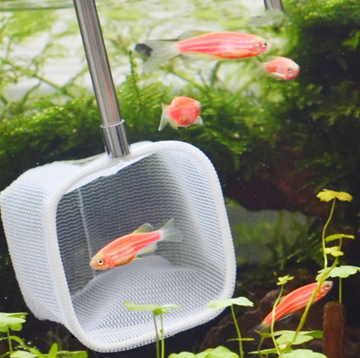 3d Aquarium Small Fish Shrimp Catching Net Buy Shrimp Nets Sale