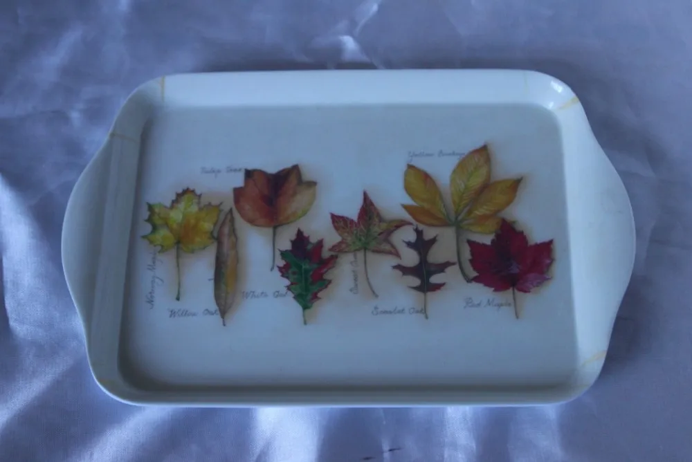 8.2inch melamine tray