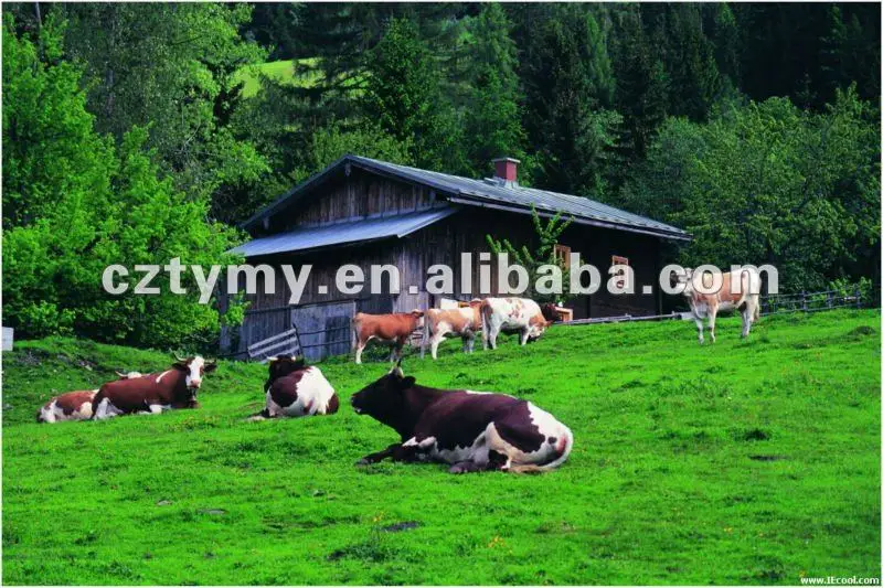 nongchangxiezhen2_023
