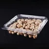 Food Grade Disposable Ps/Pvc/PET Plastic Blister Food Fruit Box Packaging