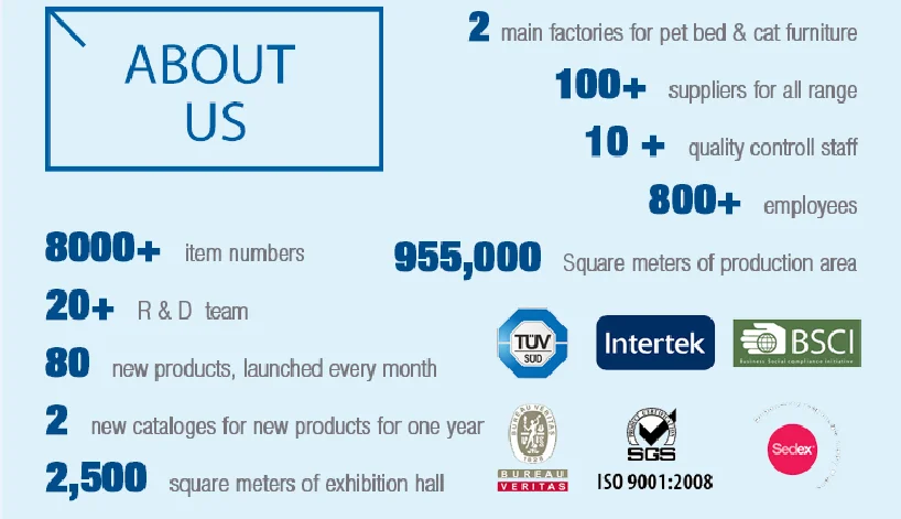 paste-pic-dp_uuid_mj8p3