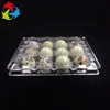 Free Sample Clear Plastic Quail Egg Packaging Tray With 12 Holes