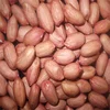 factory cheap ground nuts peanuts