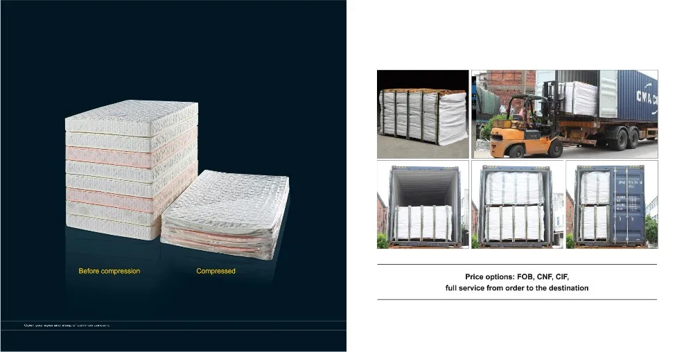 Guangzhou Trulene IM. & EX Co., Ltd