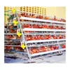 pvc coated chicken cages layers