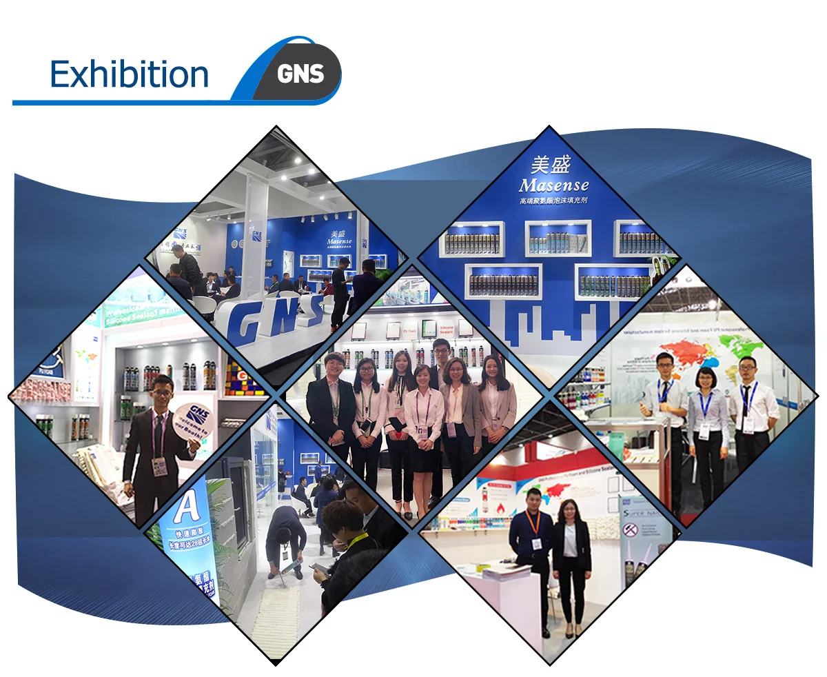 Gns N60 Weatherproof Silicone Sealant Neutral Cure Good Quality Buy