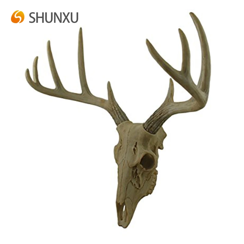 新品登場 鹿頭蓋骨 洋風 Kuwaitagro Com 新品登場 鹿頭蓋骨 洋風 Kuwaitagro Com