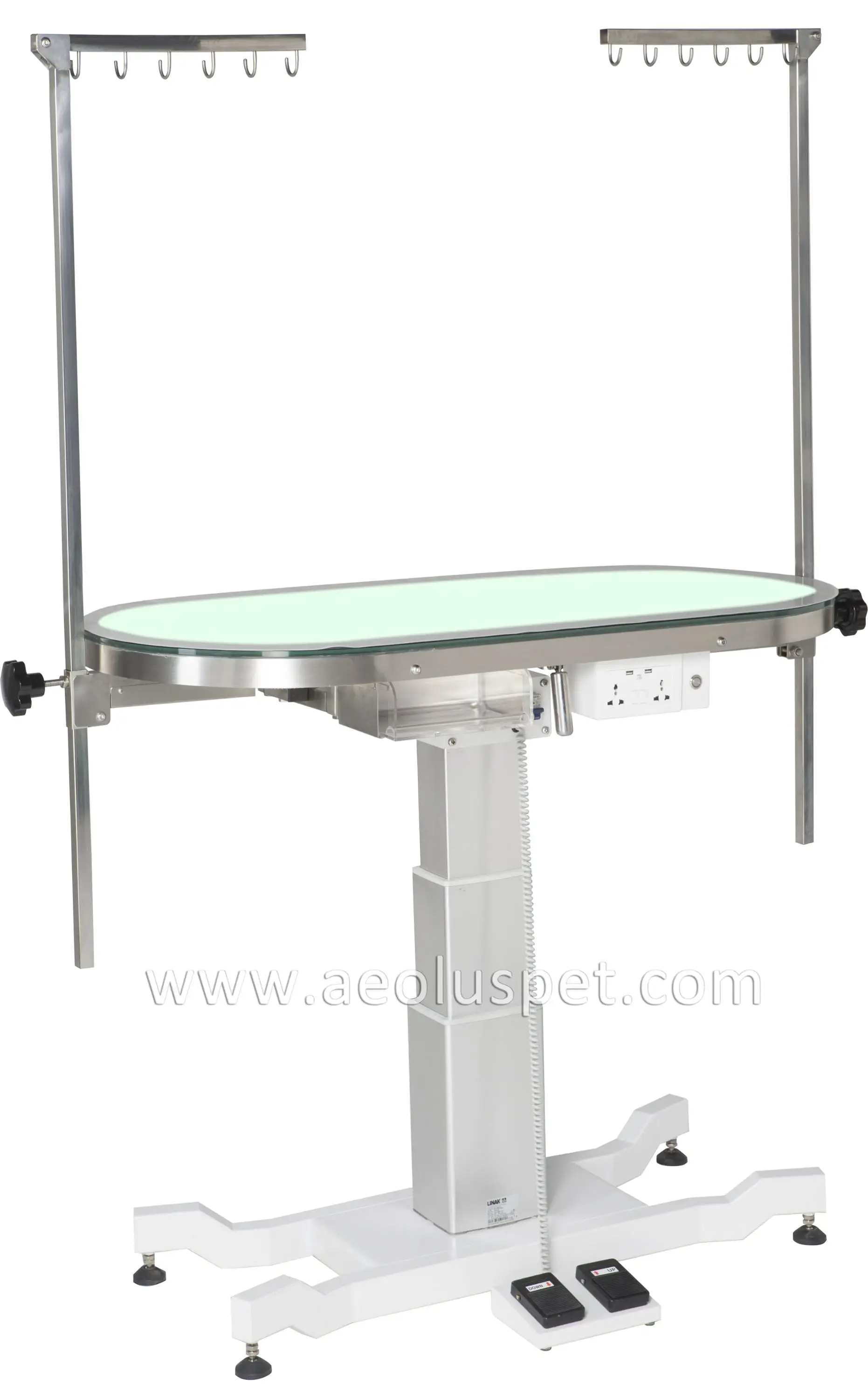 Ft889 New Design Ace Deluxe Round Rotating Electric Dog Grooming Table