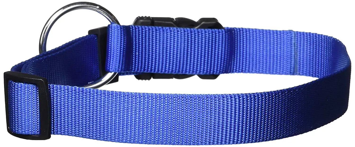 Dogit Nylon Adjustable Single Ply Dog Collar with Plastic Snap, X-Large, 1-Inch, Blue