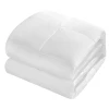 All-Season White Down Alternative Quilted Comforter - Hypoallergenic - Plush Microfiber Fill - Machine Washable