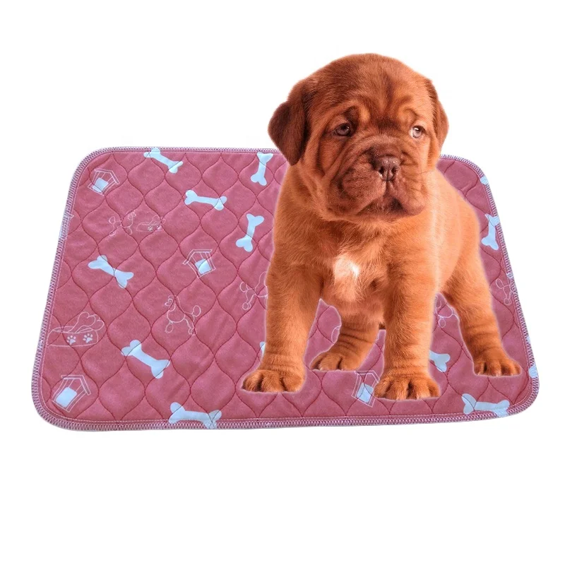 Grossiste pipi pad pour chienAcheter les meilleurs pipi pad pour chien