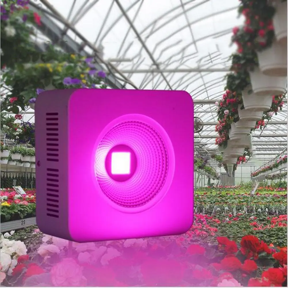Wei-d Plant Growth Fill Light LED Grow Light for Red Blue Indoor Plant Lights and Hydroponic Full Spectrum 100W Plant Grow Light , 100w