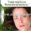 Limited Edition Audio CD "unless You Try" By Jenny Jean Love
