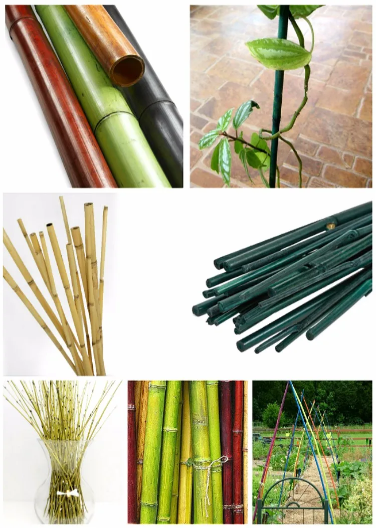 Good Bamboo Flower Stakes Price - Buy Bamboo Flower Stakes ...