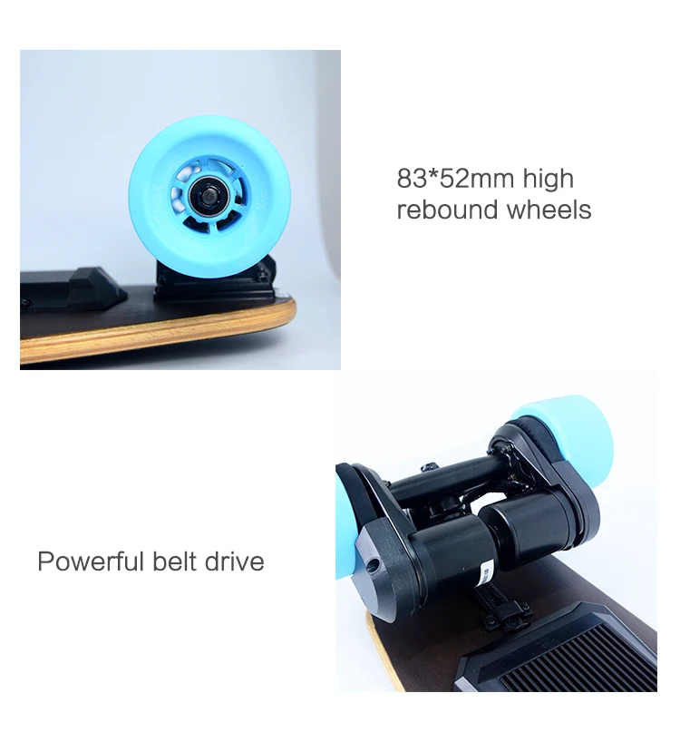 Custom Powerful 1200w Dual Belt Drive Electric Longboard Skateboard For