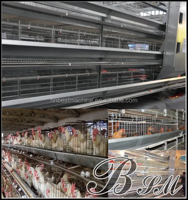 Sell Layer Chicken Cage For Sri Lanka A Type Layingegg Chicken Cage Automatic Poultry Farm House Design Buy Layer Poultry Cages For