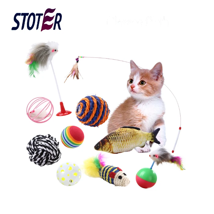 dog and cat toys
