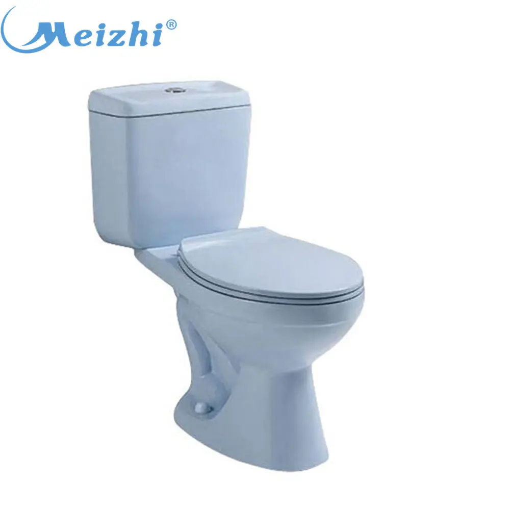 light blue toilet seat