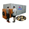 High quality high efficiency box type microwave vacuum drying machine