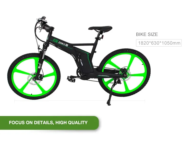 flyer electric bike