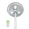 Paradise Garden Lighting Solar Streetlight Auto On / Off