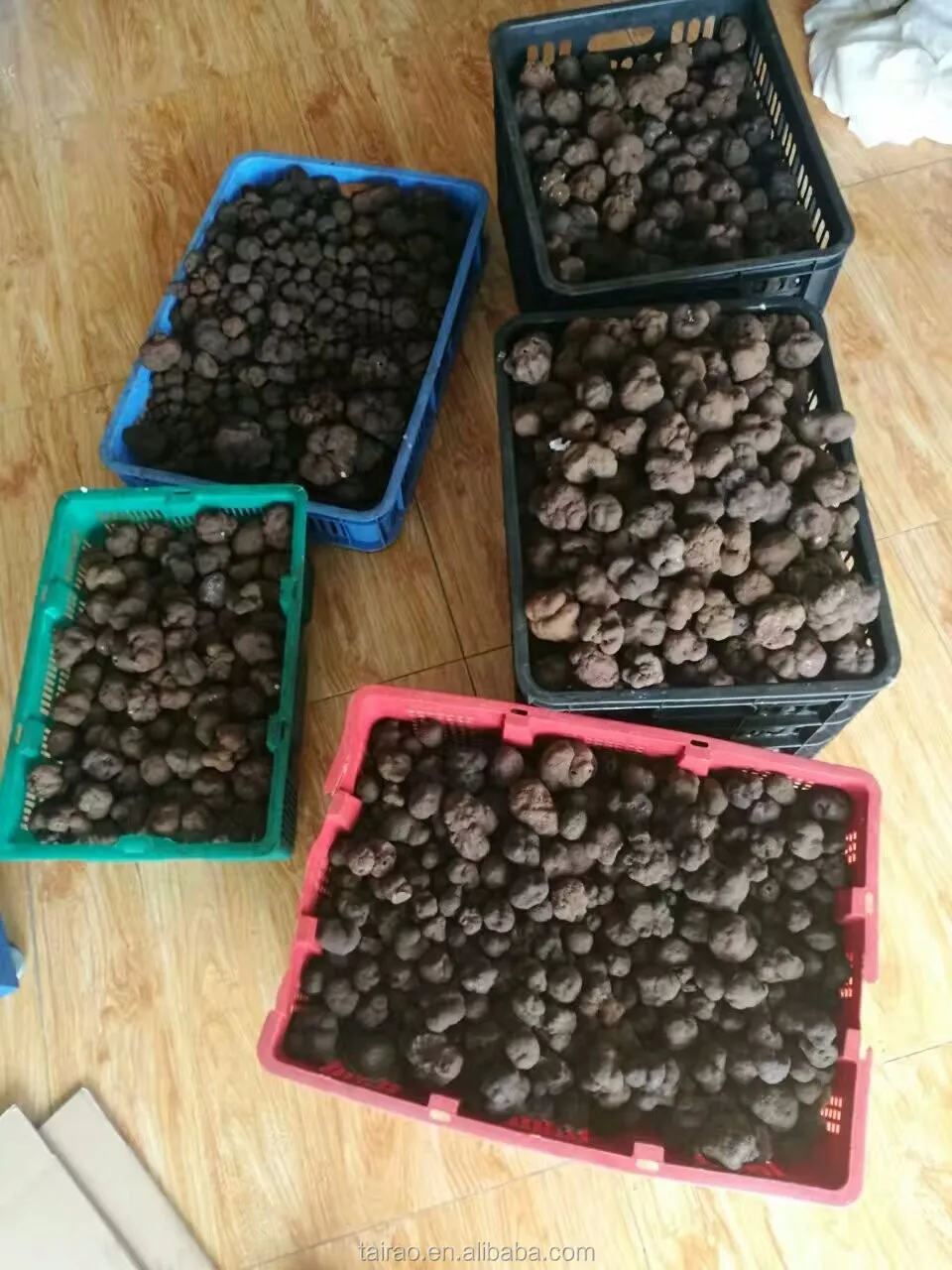 Best Quality Selling Fresh Black Truffle With Cheap Price Whole Part