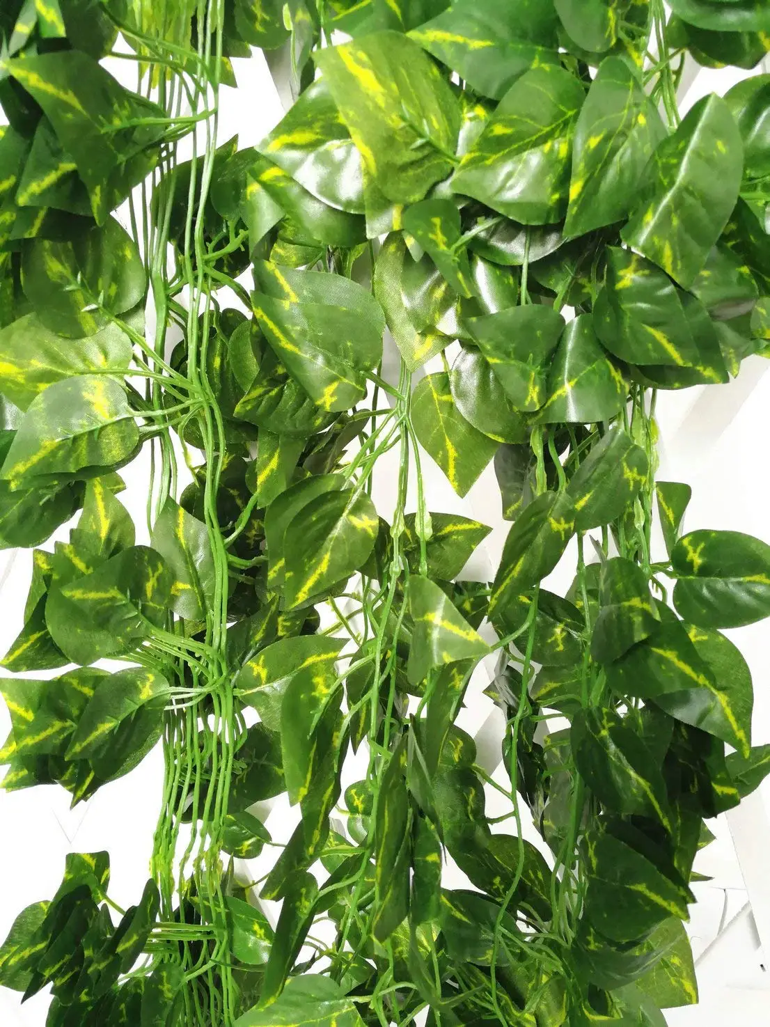 Cheap Indoor Plants Ivy, find Indoor Plants Ivy deals on line at