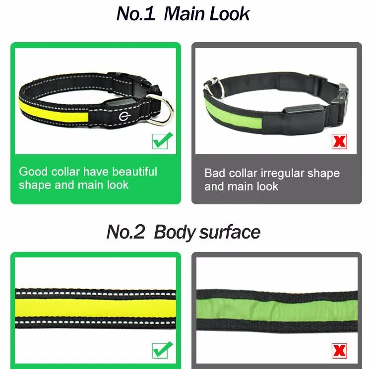 Night Safety Warning Light Up USB Rechargeable LED Dog Collars