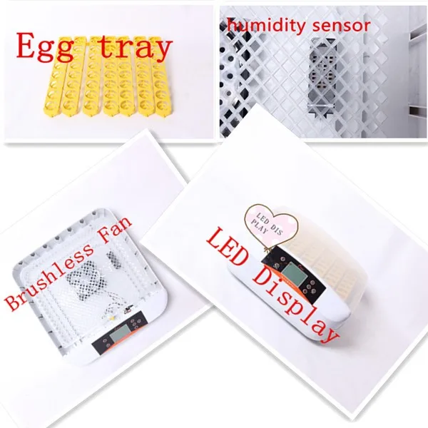 Promotion! HHD brand LED testing function mini chicken egg incubator 56 eggs EW-56S