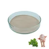 Effective health care expert oregano oil premix animal feed additive