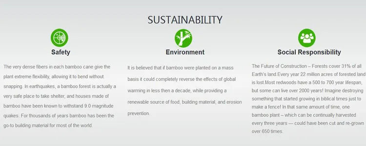 BAMBOOO PLYWOOD BORAD.jpg