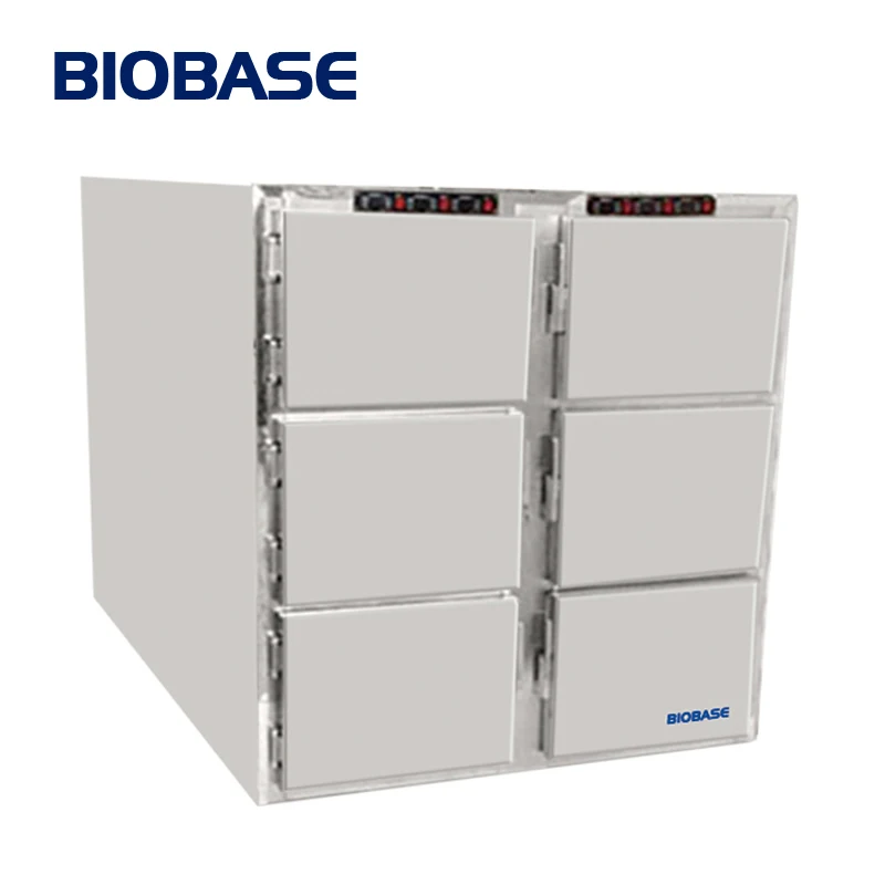 01_bk_cr6_main