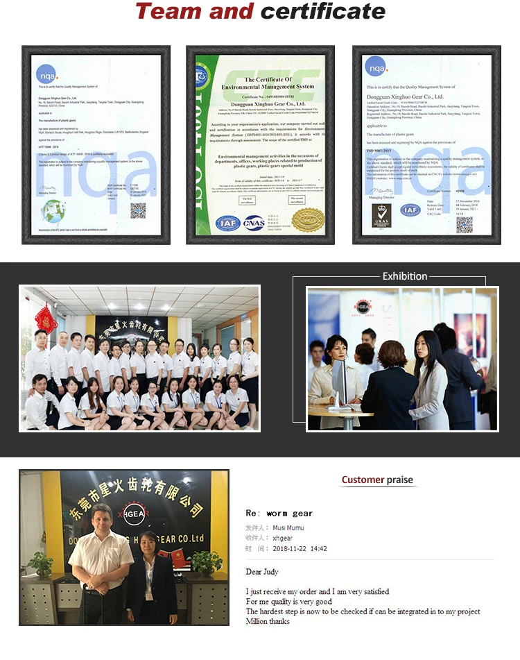 High accuracy engineering custom wear resisting plastic small pinion gears