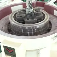 Wood Pellet Mill Italy Customer Liked