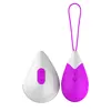 /product-detail/online-sex-shop-rechargeable-wireless-remote-control-vibrating-love-egg-for-women-pussy-60817559594.html