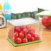 New Design Combined Plastic Crisper Container