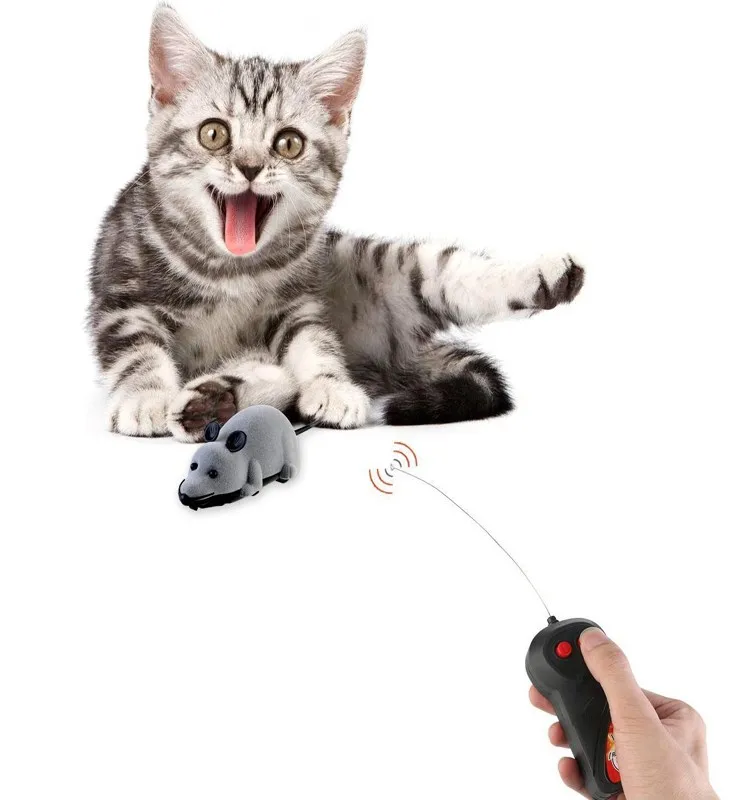 radio controlled cat