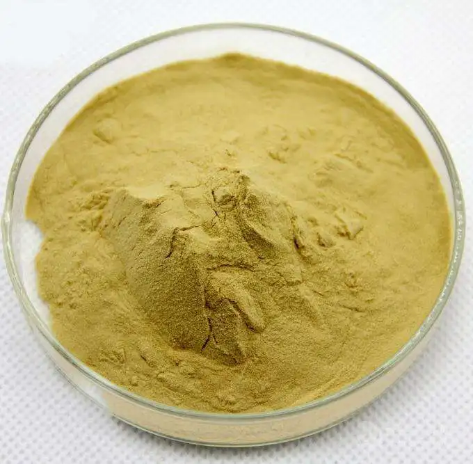 nutritional yeast powder extract bulk for food ingredient