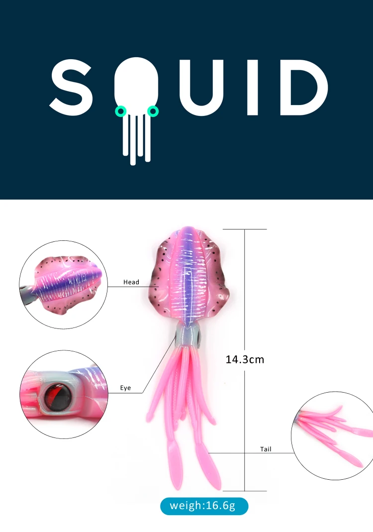 SGSL-LD81124DL-B1_01