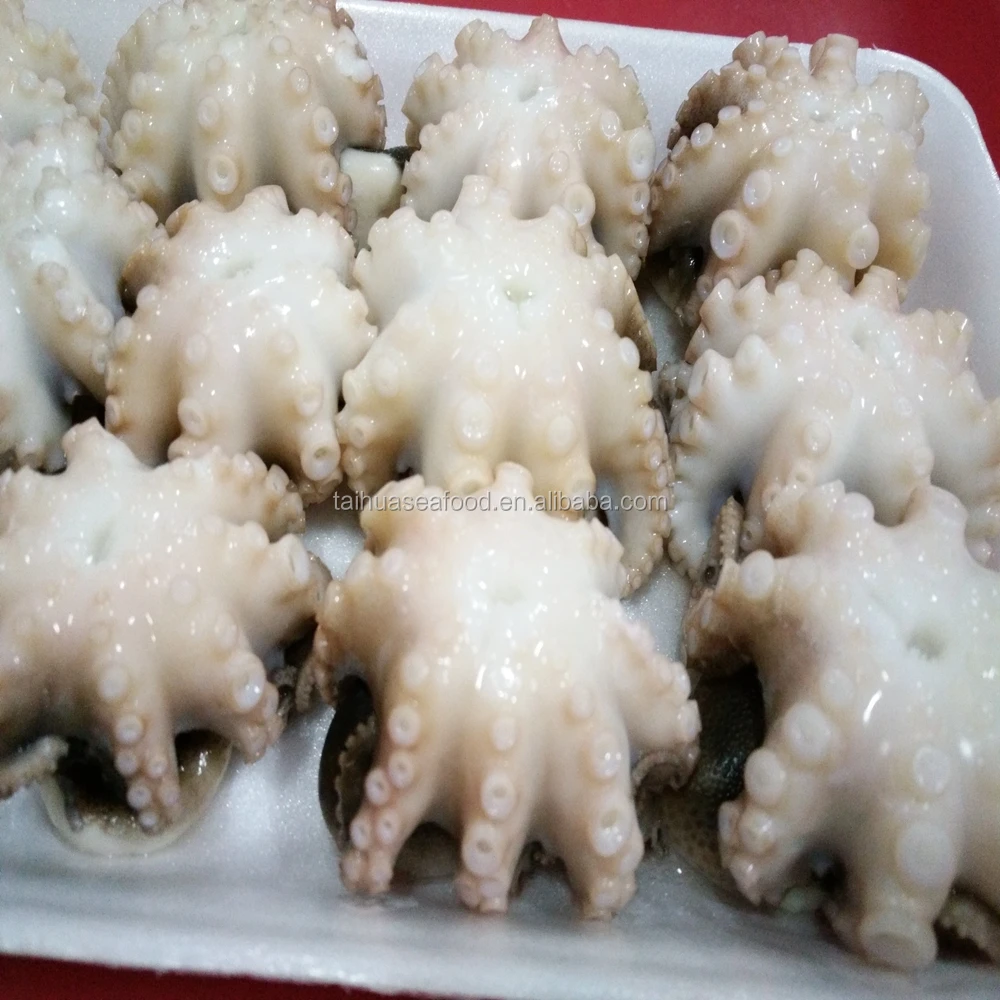 Frozen Seafood Baby/small Octopus Fresh Buy Frozen Octopus,Baby